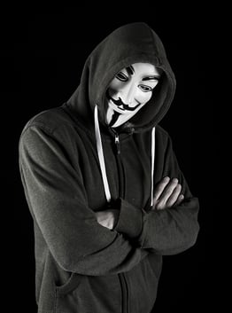 Anonymous Hacktivism