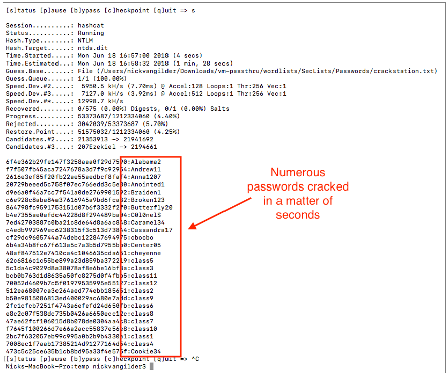 password word list